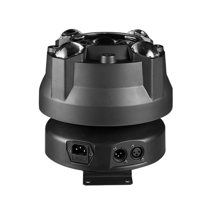 The Little Sun Bee-eye Four In One