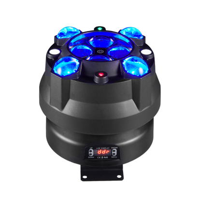 The Little Sun Bee-eye Four In One