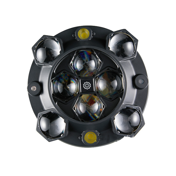 The Little Sun Bee-eye Four In One